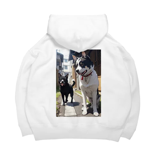 I introduce my friend ! Big Hoodie