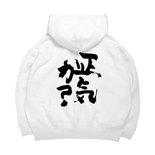 正気か？ Big Hoodie