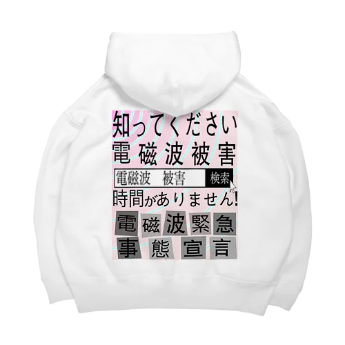 電磁波被害啓蒙 Big Hoodie