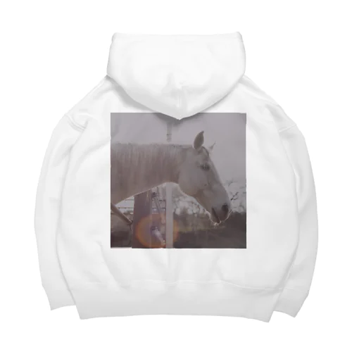 Sun and Horse Big Hoodie