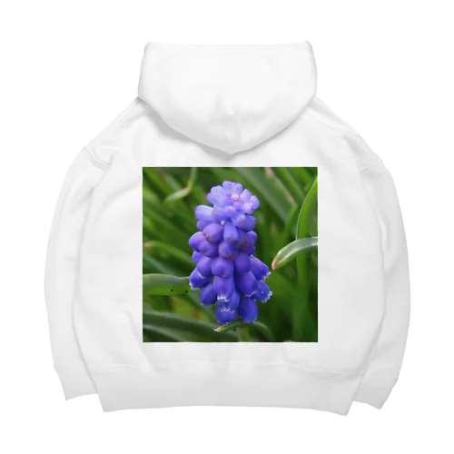 Muscari botryoides(1:1) Big Hoodie