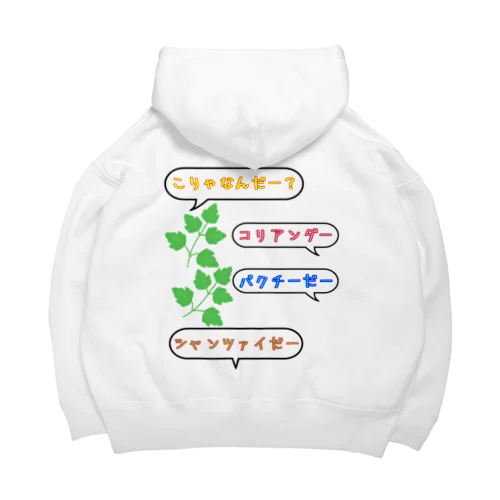 こりゃなんだー？コリアンダー Big Hoodie