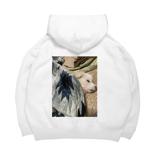 犬もダメにするこたつ Big Hoodie