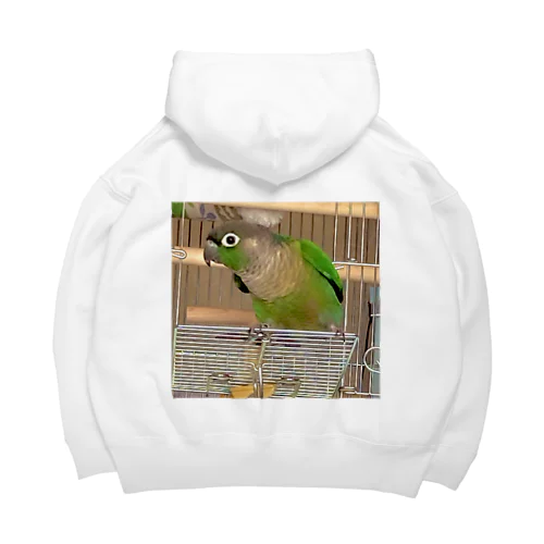 ウロコインコのおーちゃん Big Hoodie