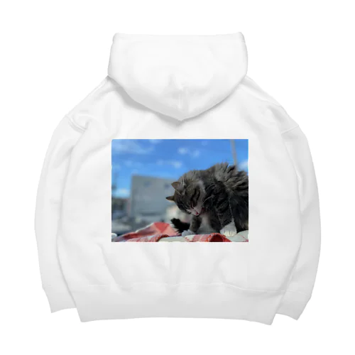 たびねこ蜜柑 Big Hoodie