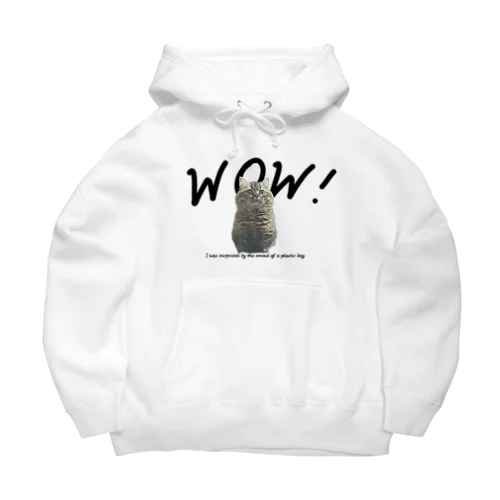 ビニール袋に驚いた売れ残り猫みぬ Big Hoodie