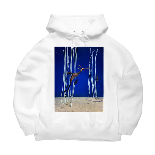 ウィーディ·シードラゴン Big Hoodie