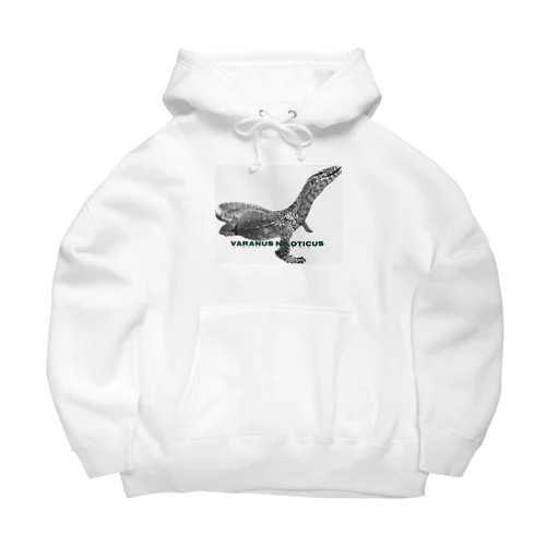 Varanus niloticus Big Hoodie