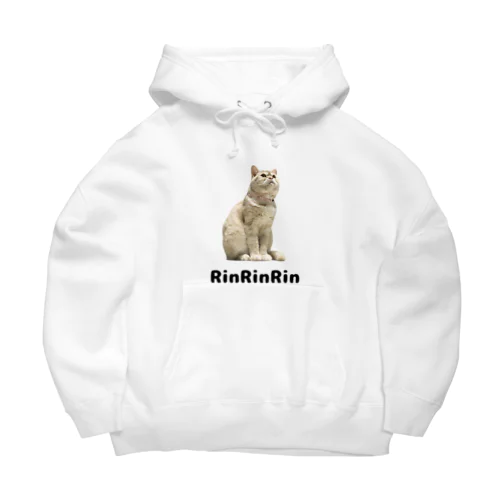 見上げる猫ちゃん Big Hoodie