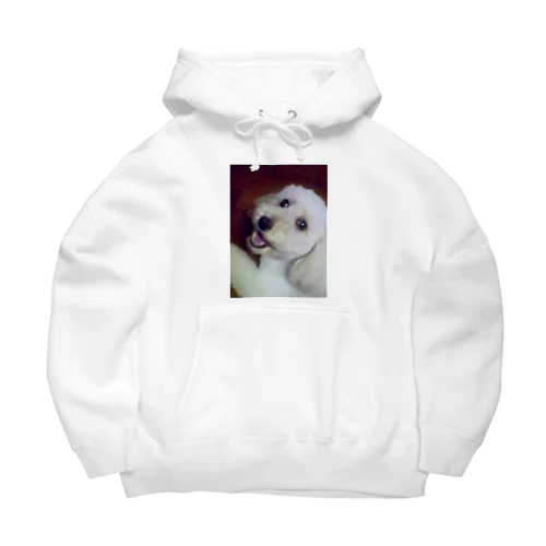 ヒーラーdogエイミーのハッピースマイル Big Hoodie