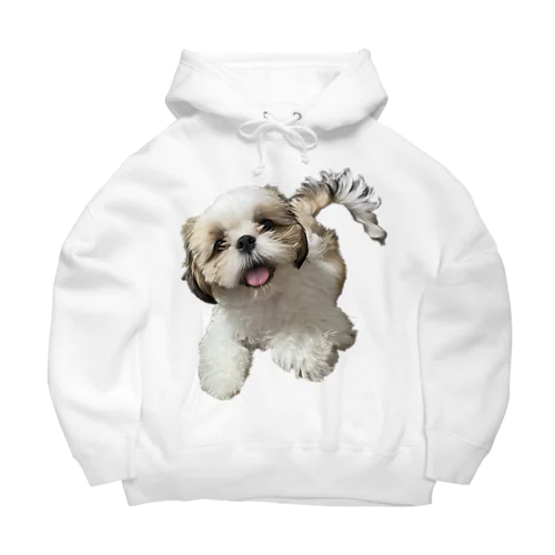 狐月(こつき)の愛犬茶々丸 Big Hoodie