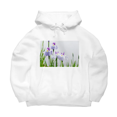 癒しの風景（花菖蒲） Big Hoodie