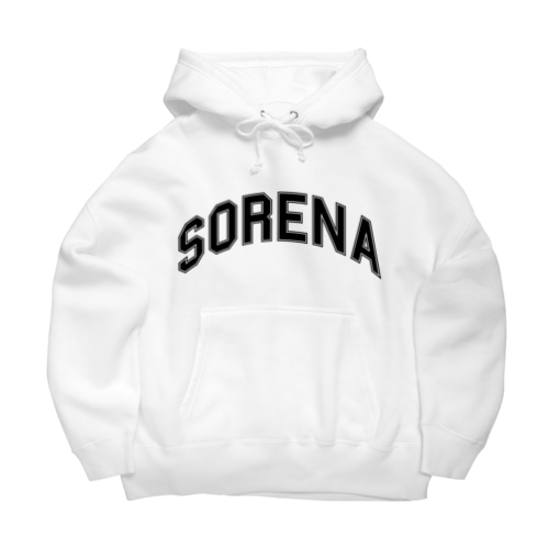 それなカレッジロゴ Big Hoodie