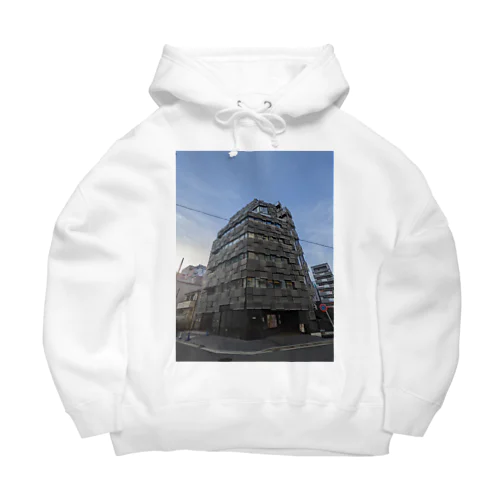 Modern Architecture Big Hoodie