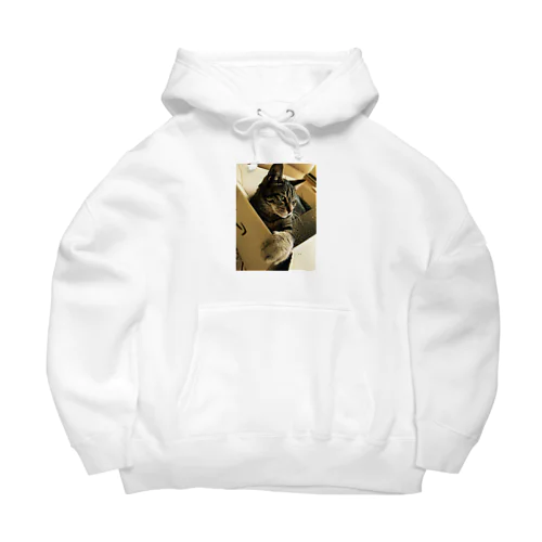 猫 Big Hoodie