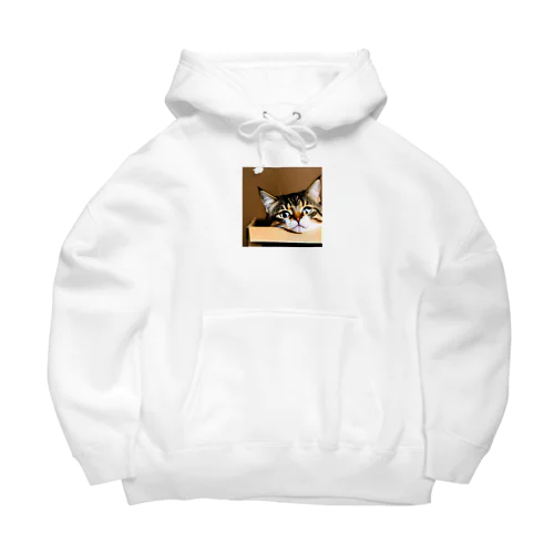 箱に入った可愛い猫 Big Hoodie