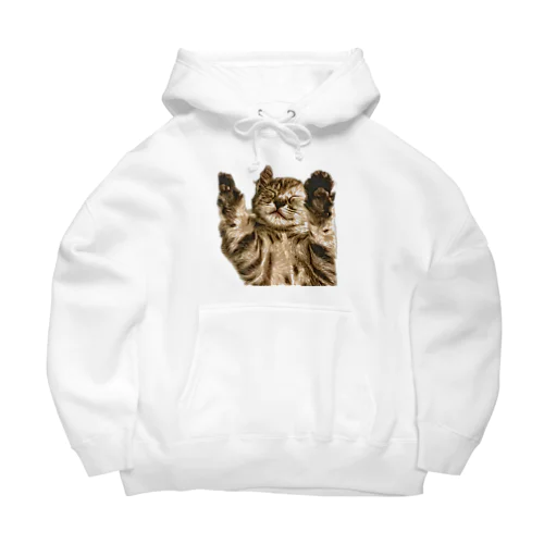 関西猫ゆき Big Hoodie