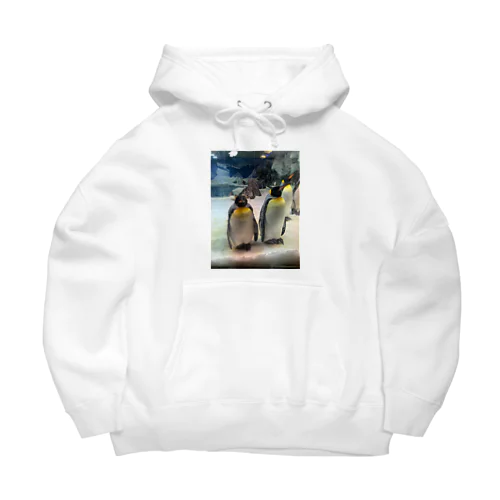 Ain't in Antarctica Big Hoodie