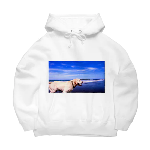 ラブラドール海老蔵 Big Hoodie