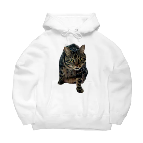 エンジンルーム猫のエンジン２ Big Hoodie