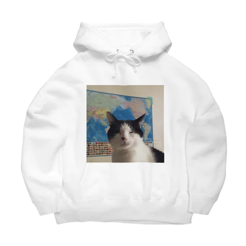 地球ねこしーたん Big Hoodie