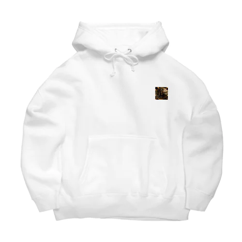 ビットコイン Big Hoodie