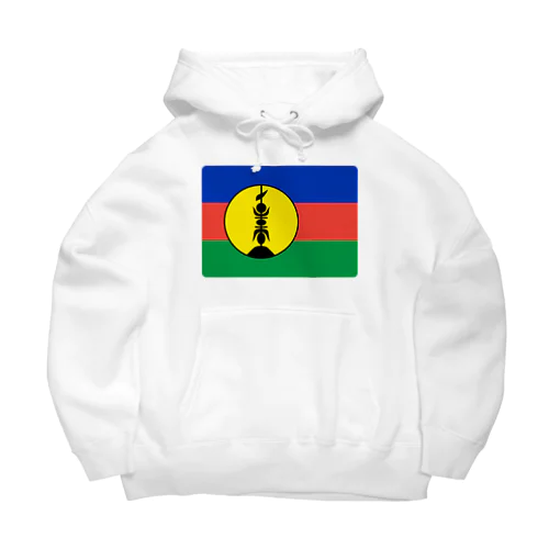 ニューカレドニアの国旗 Big Hoodie