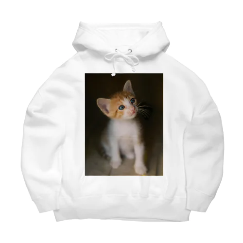 考える　猫ちゃんー Big Hoodie