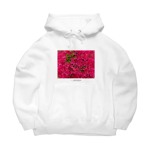 ツツジのお花T part2 Big Hoodie