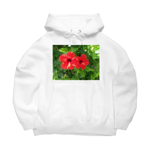 南国　ハイビスカス　パワースポット Big Hoodie