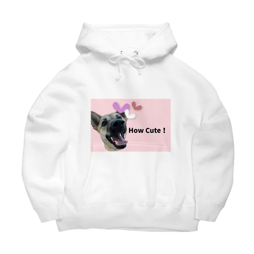 How Cute! Canvas! Big Hoodie