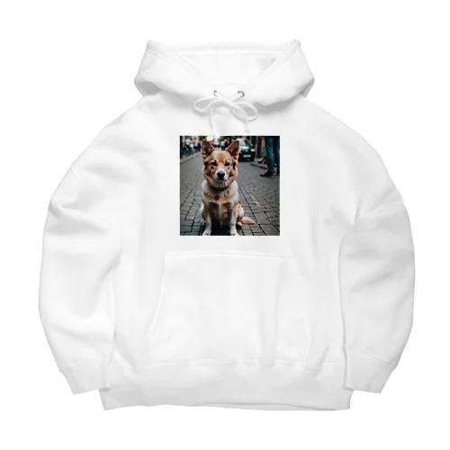 パワフルとは対照的な風貌を持つ可愛らしい犬がカメラ目線！ Big Hoodie