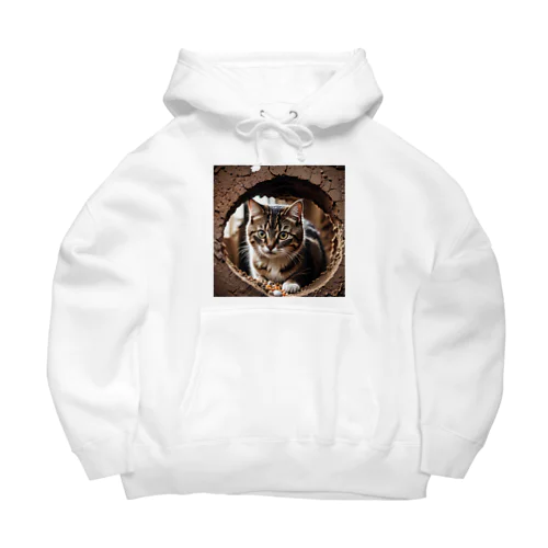 穴から覗く猫 Big Hoodie