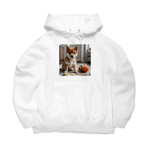 柴犬のかわいい幼子が写真の中央にいる。 Big Hoodie