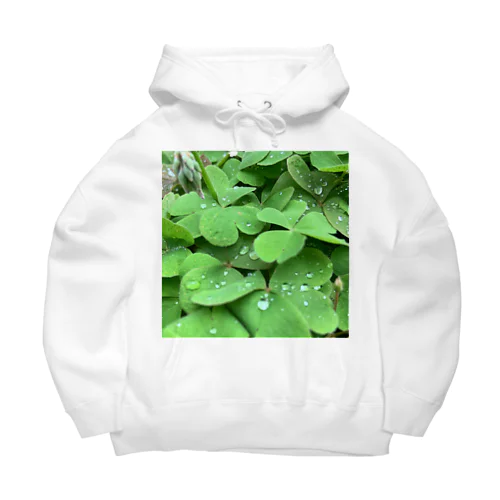 🌿 Big Hoodie