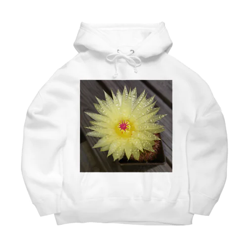 サボテンの花 Big Hoodie