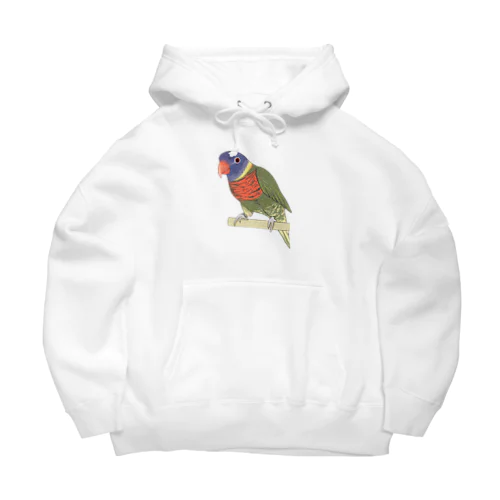 色合いが綺麗なゴシキセイガイインコちゃん【まめるりはことり】 Big Hoodie