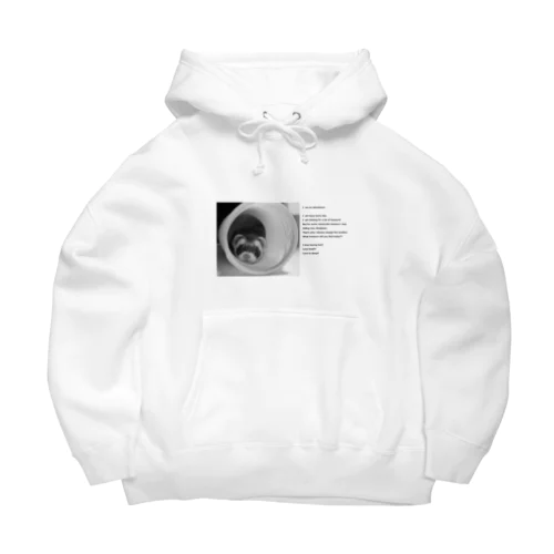 おしゃれフェレット Big Hoodie