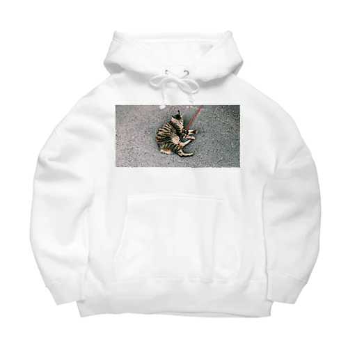 猫　ねこ　ネコ　 Big Hoodie