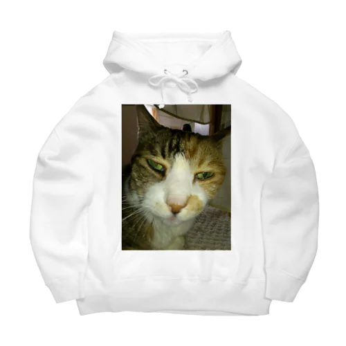 寝ぼけ猫 Big Hoodie