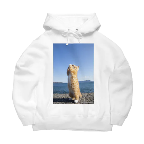 お祈り立ち猫 Big Hoodie