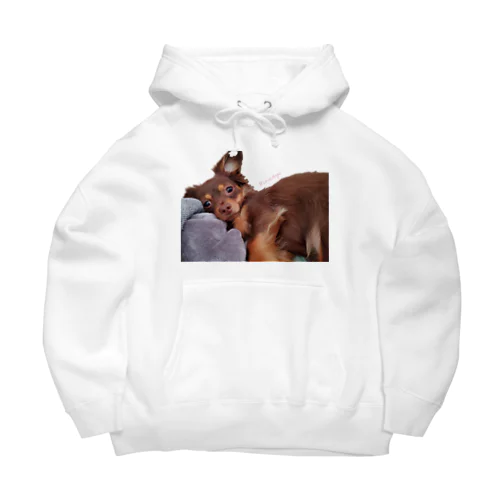 #Lovedogs Big Hoodie