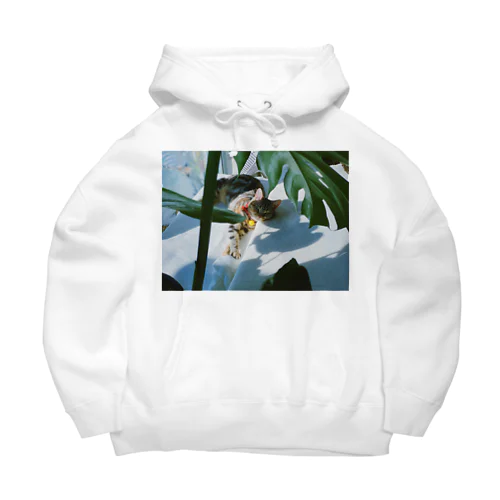 うっとりバカンス Big Hoodie