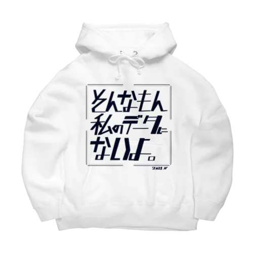 そんなの私のデータにないよ Big Hoodie