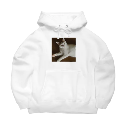 箱入り三毛猫うにさん Big Hoodie