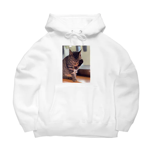 こたろう　子猫　シリーズ　1 Big Hoodie