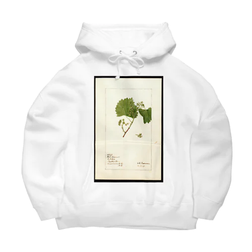  Vitis: White Staminate Big Hoodie