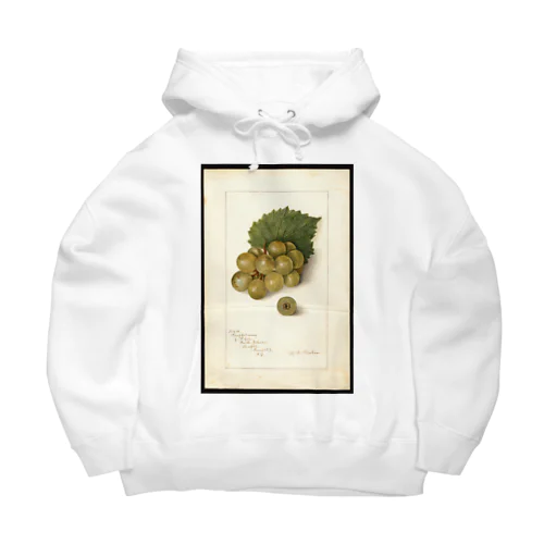 Scuppernong  Big Hoodie