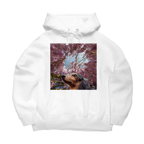 藤の花ミニダク Big Hoodie