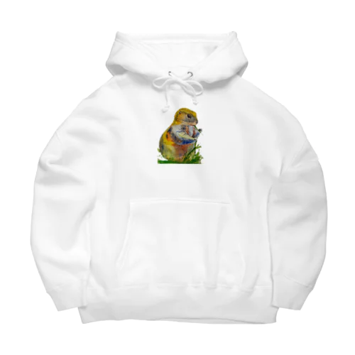 ミーヤキャットくん Big Hoodie